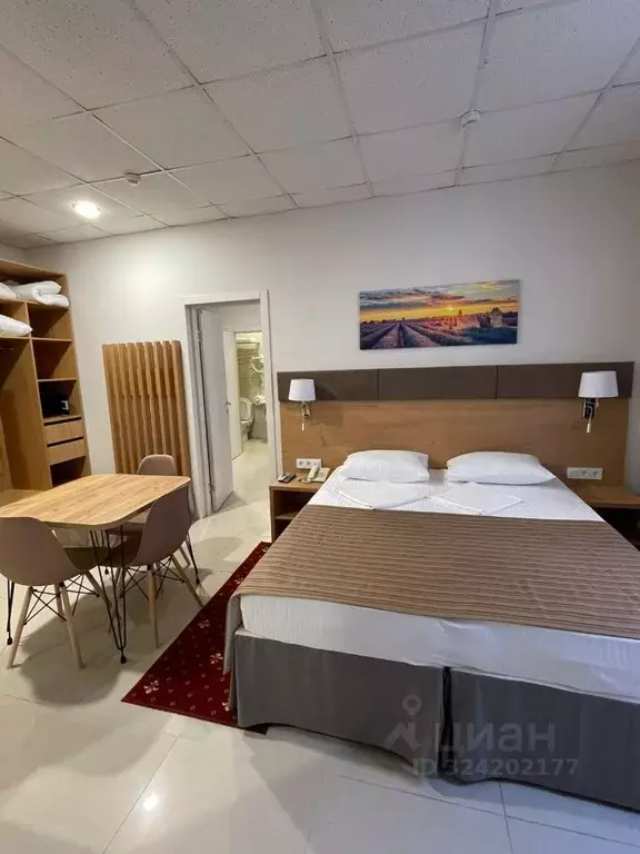 2-к кв. Краснодарский край, Анапа Терская ул., 154 (23.0 м) - Фото 1