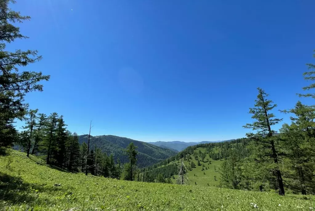 Поселок седьмое небо алтай фото Участок в Алтай, Чемальский район, Седьмое небо кп (30.0 сот.), Купить земельный