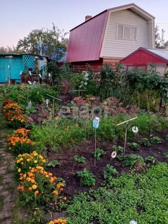 Участок в Марий Эл, Йошкар-Ола Мир СНТ, 4А/14 (4.5 сот.) - Фото 1