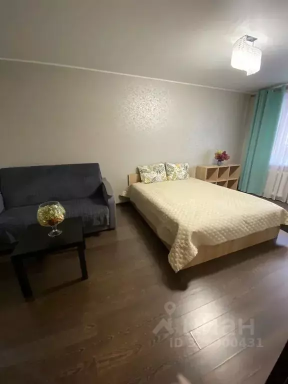 1-к кв. Татарстан, Казань Меридианная ул., 19 (33.0 м) - Фото 1