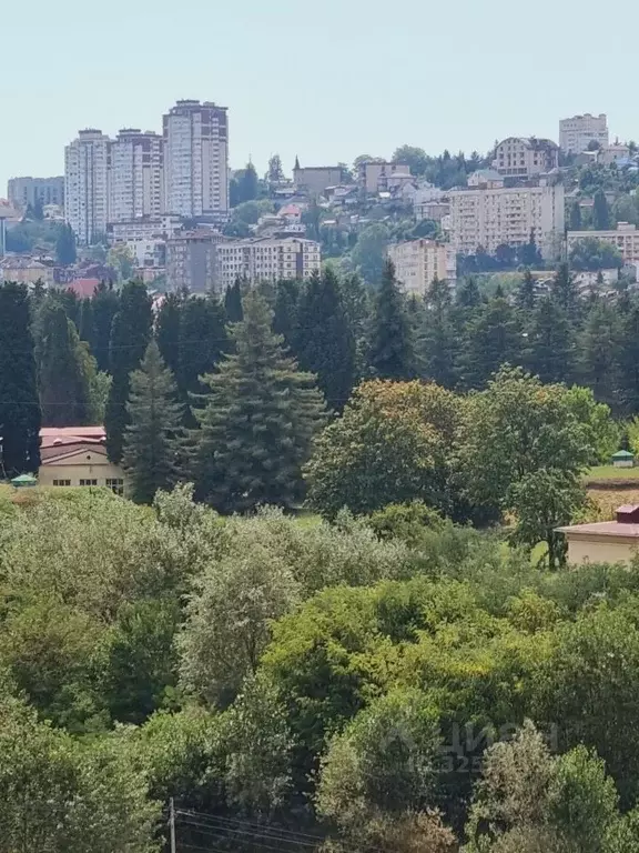 3-к кв. Краснодарский край, Сочи Пластунская ул., 123Ак3 (74.0 м) - Фото 2