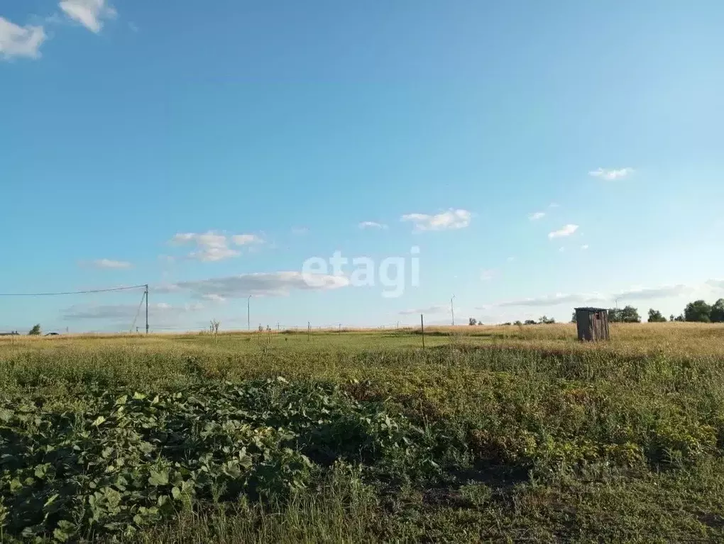 Участок в Белгородская область, Яковлевский муниципальный округ, с. ... - Фото 1