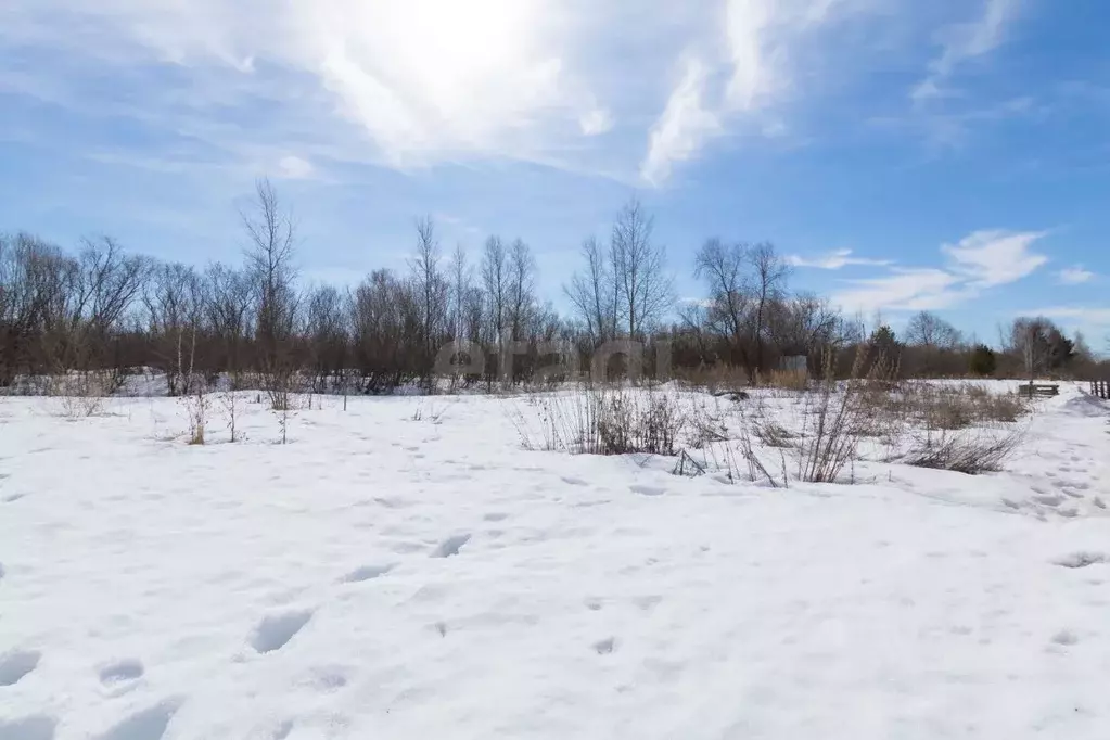 Участок в Тюменская область, Тюменский муниципальный округ, ... - Фото 1