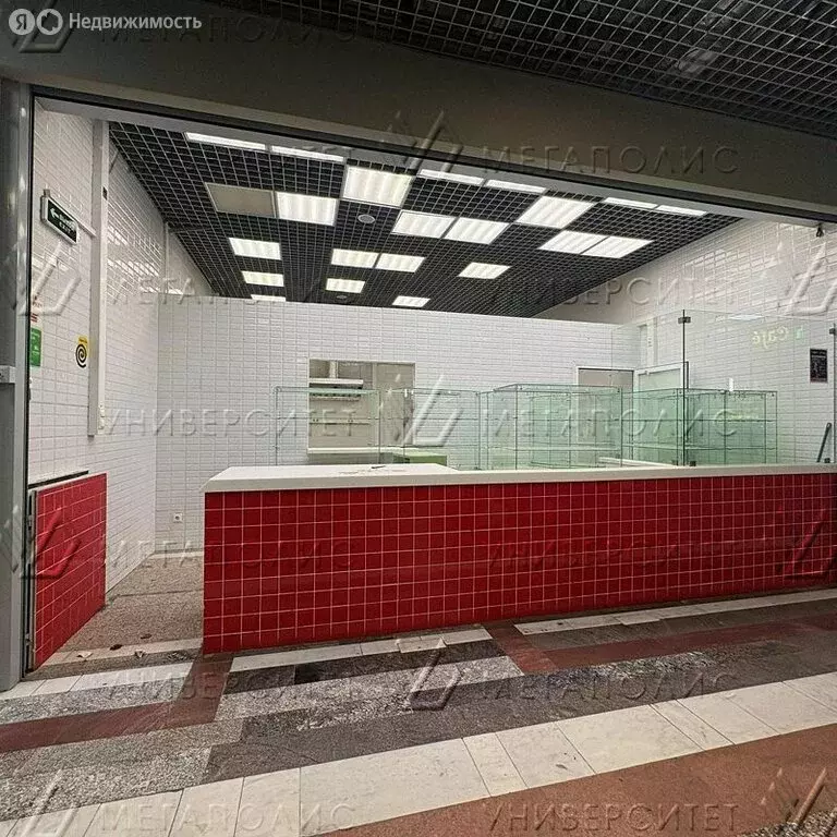 Помещение свободного назначения (42 м) - Фото 1