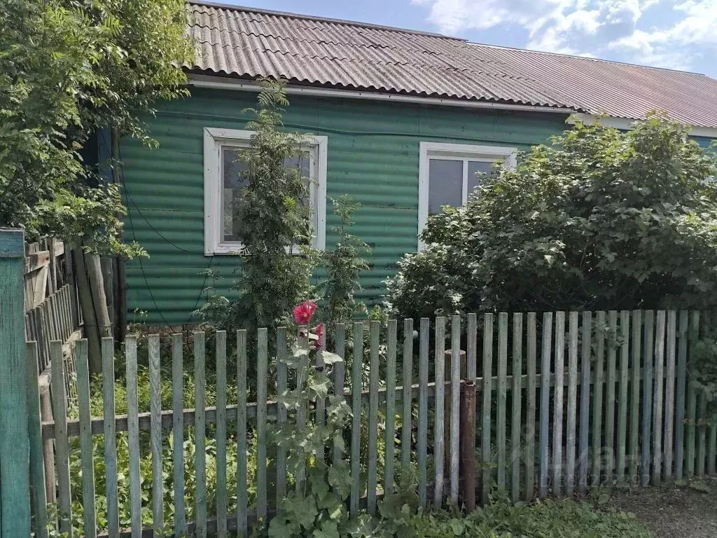 Дом в Омская область, Калачинский район, с. Деревня Новое  (50 м) - Фото 1