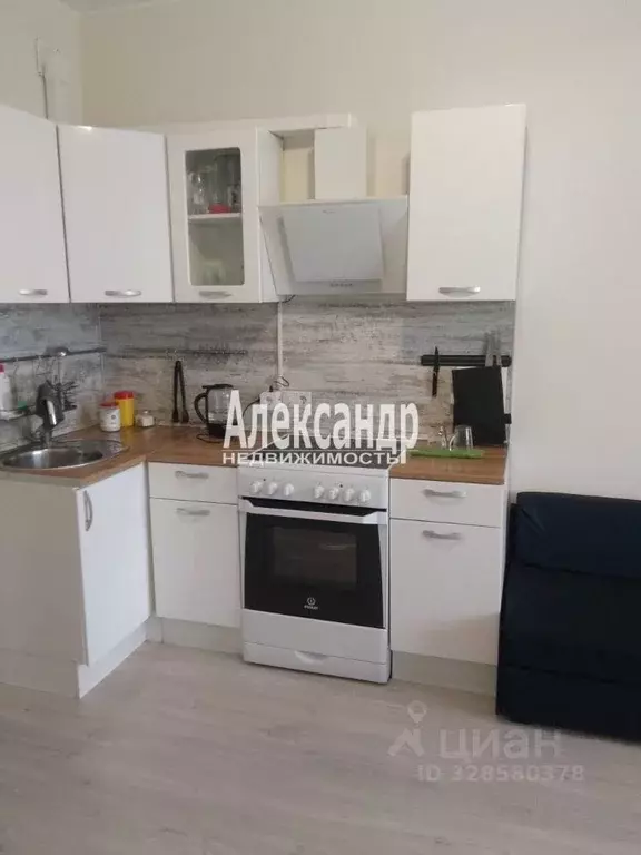 Студия Ленинградская область, Всеволожский район, пос. Бугры ул. ... - Фото 1