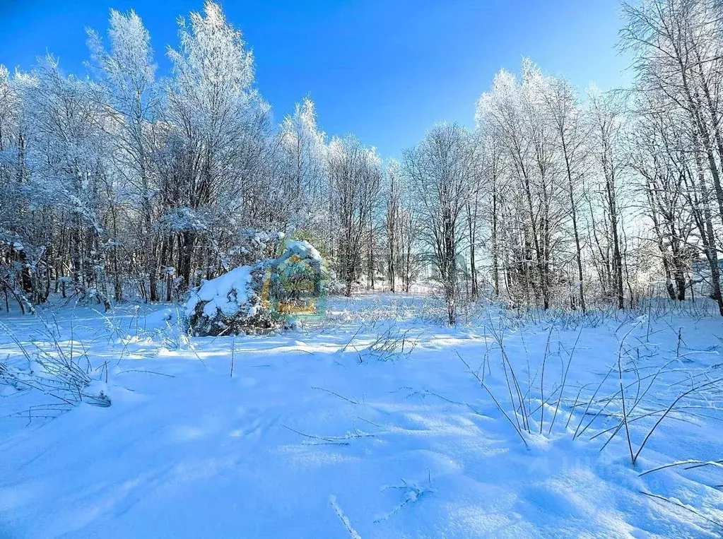 Участок в Ленинградская область, Приозерский район, пос. Сосново ул. ... - Фото 2