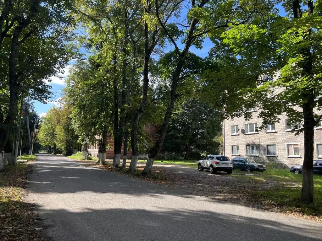 1-к кв. Калининградская область, Гвардейский муниципальный округ, пос. ... - Фото 2