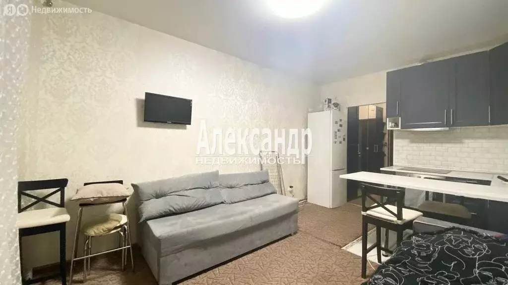 Квартира-студия: Мурино, Охтинская аллея, 14 (25.2 м) - Фото 2