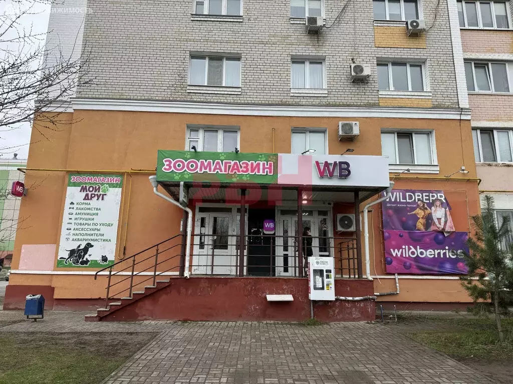 Помещение свободного назначения (34.4 м) - Фото 1