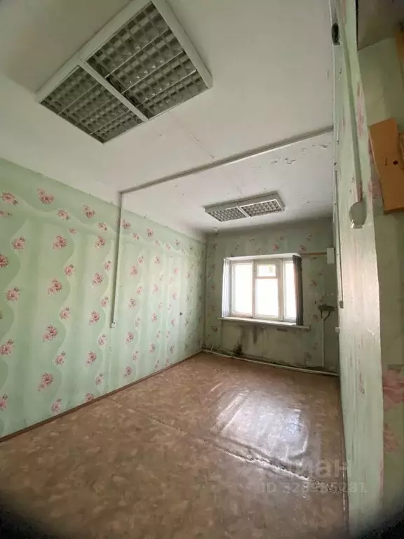 Помещение свободного назначения в Иркутская область, Усть-Кут ул. ... - Фото 1
