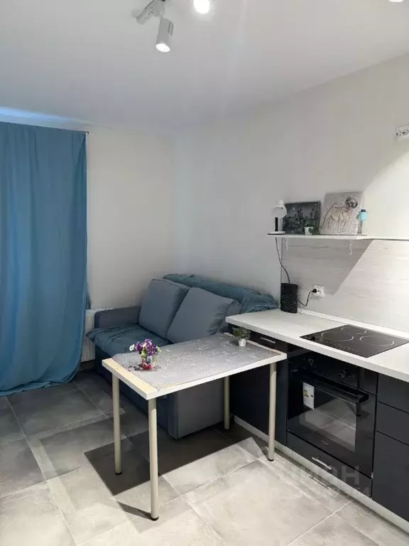Студия Санкт-Петербург наб. Реки Каменки, 19к1 (18.9 м) - Фото 1