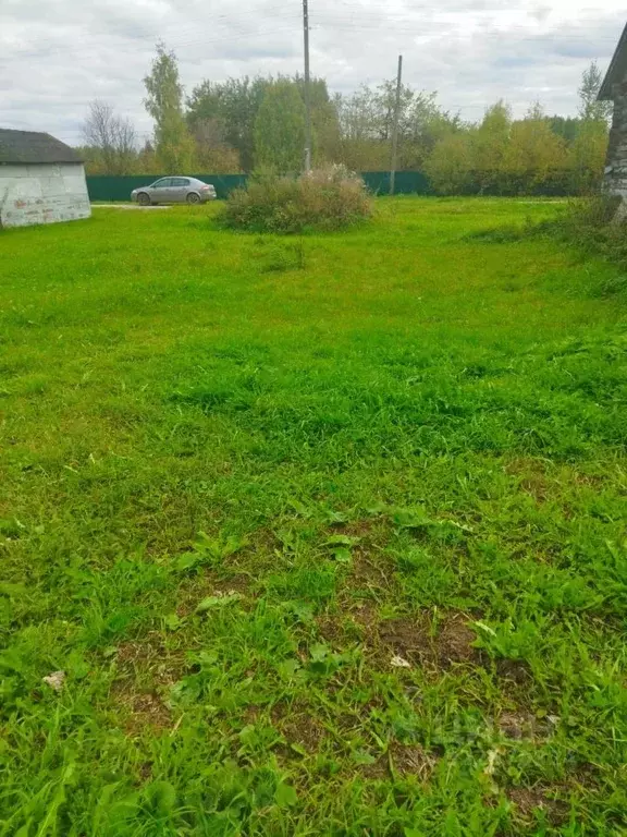 Участок в Кировская область, Орловское с/пос, д. Скозырята 6 (30.0 ... - Фото 2