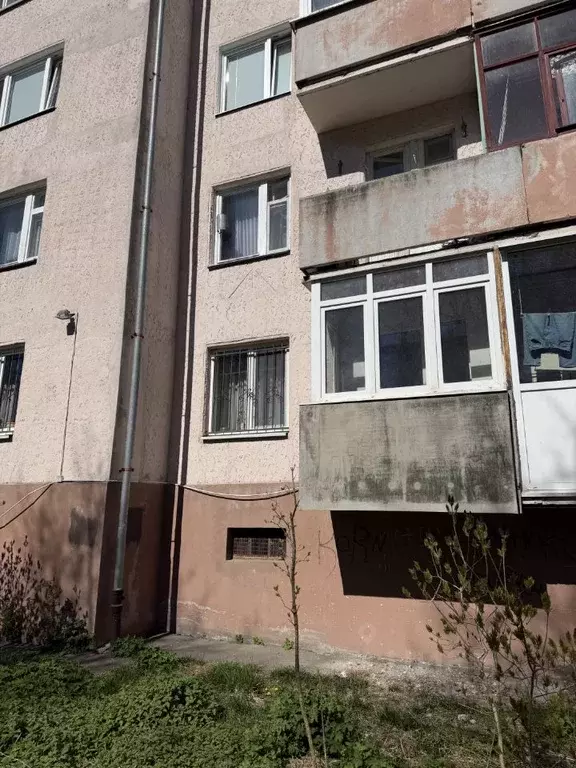 Студия Калининградская область, Зеленоградск Лесопарковая ул., 7 (21.5 ... - Фото 2