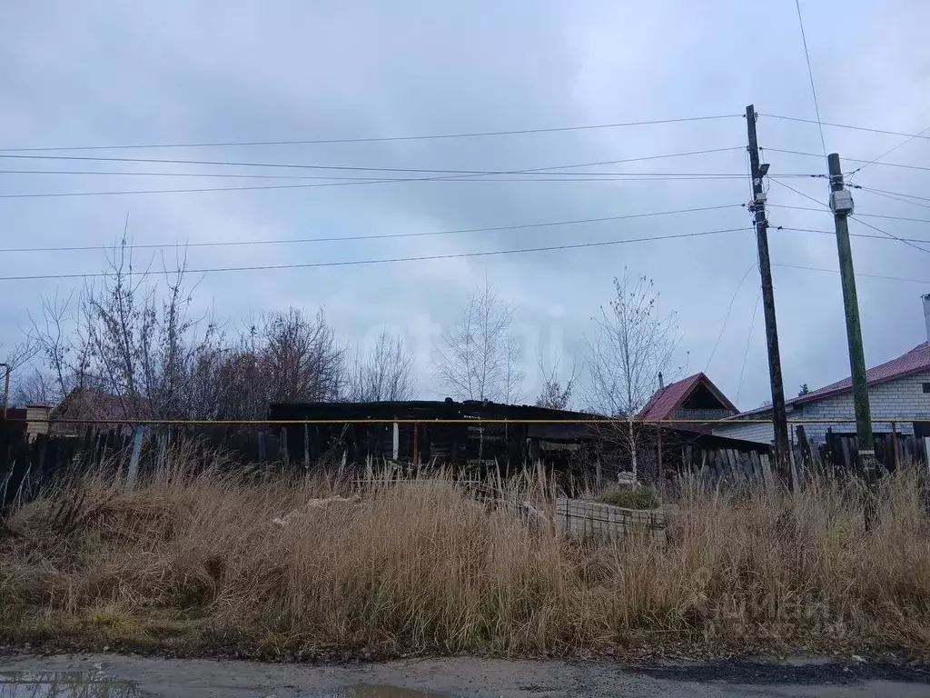 Участок в Нижегородская область, Выкса городской округ, с. Борковка ... - Фото 1