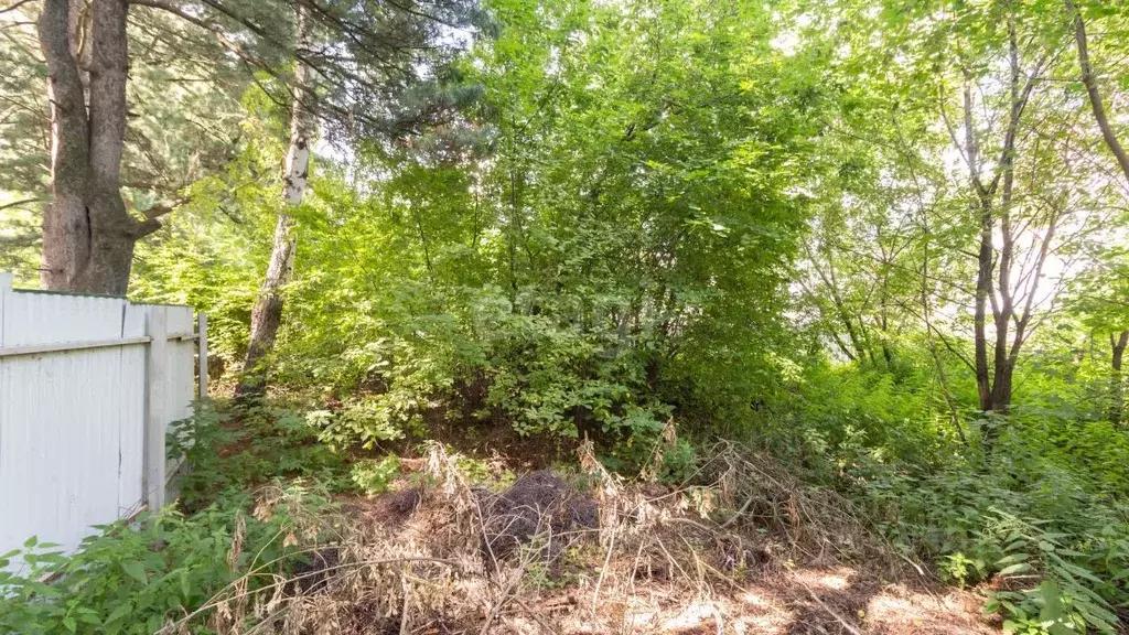 Участок в Томская область, Томск ул. Кутузова (9.9 сот.) - Фото 2