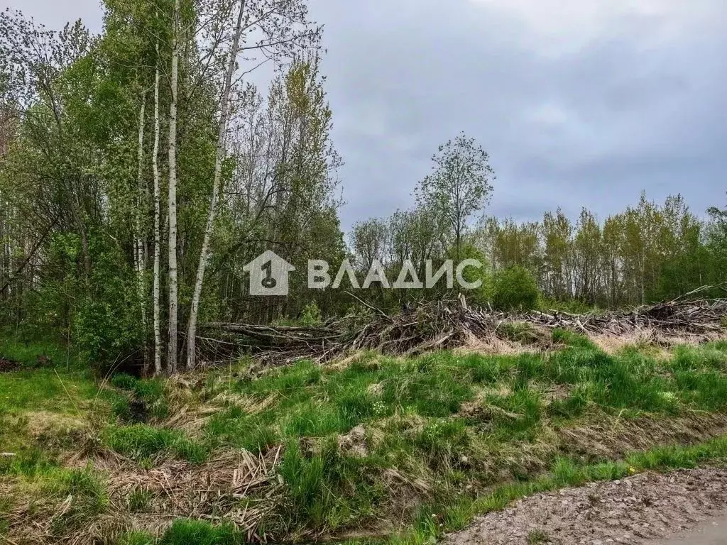 Участок в Ленинградская область, Всеволожский район, Рахьинское ... - Фото 1