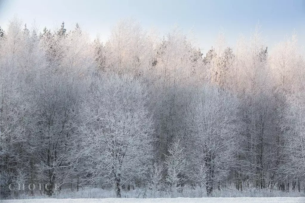 Участок в Московская область, Красногорск городской округ, д. ... - Фото 2