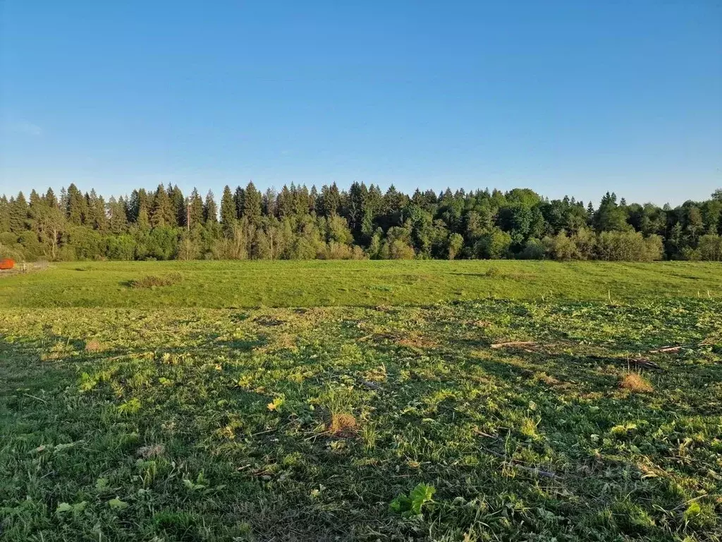 Участок в Московская область, Можайский городской округ, с. ДНП Старое ... - Фото 0