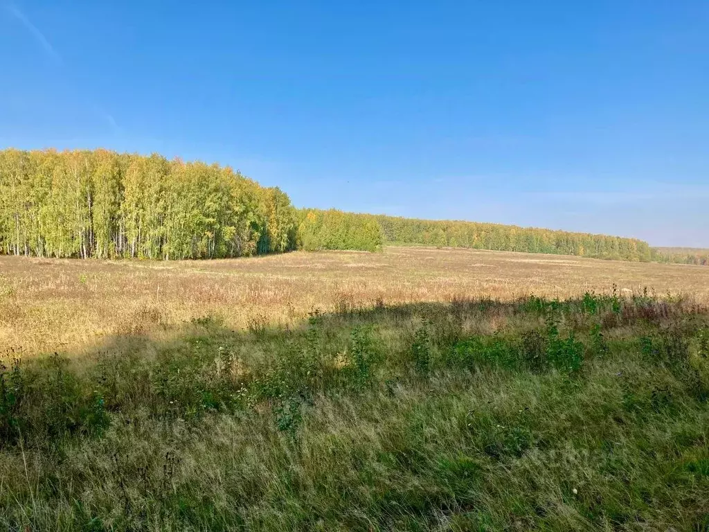 Участок в Свердловская область, Первоуральск  (11.5 сот.) - Фото 2