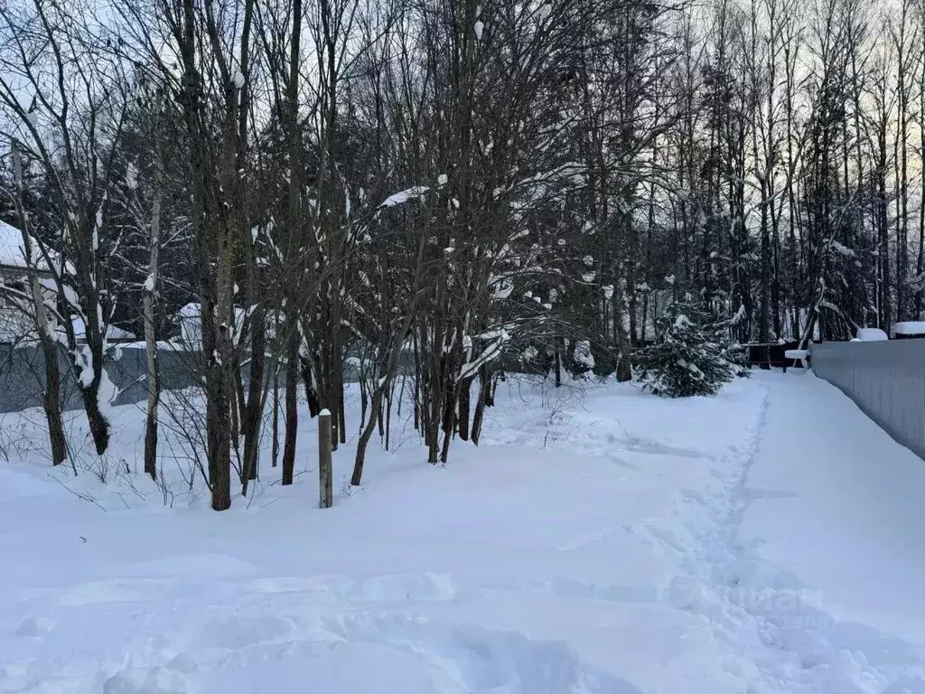 Участок в Московская область, Пушкинский городской округ, ... - Фото 2