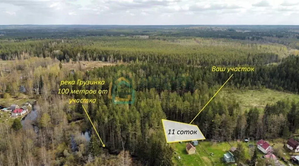 Участок в Ленинградская область, Всеволожский район, Куйвозовское ... - Фото 2