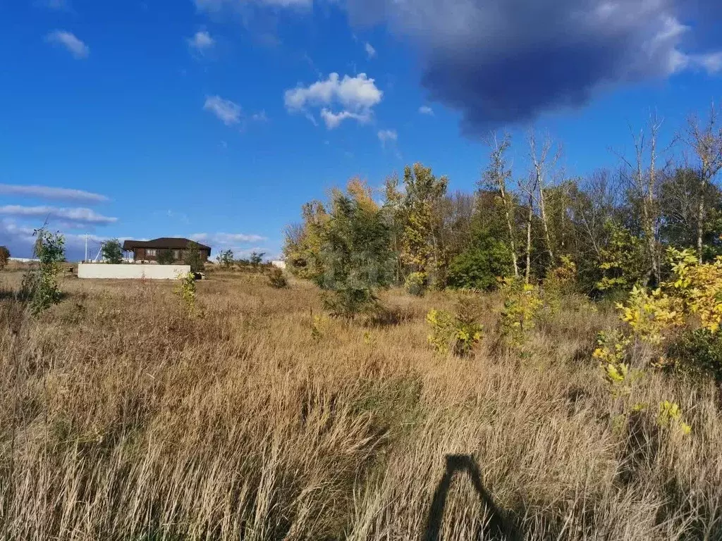 Участок в Белгородская область, Белгородский район, с. Стрелецкое 68 ... - Фото 2