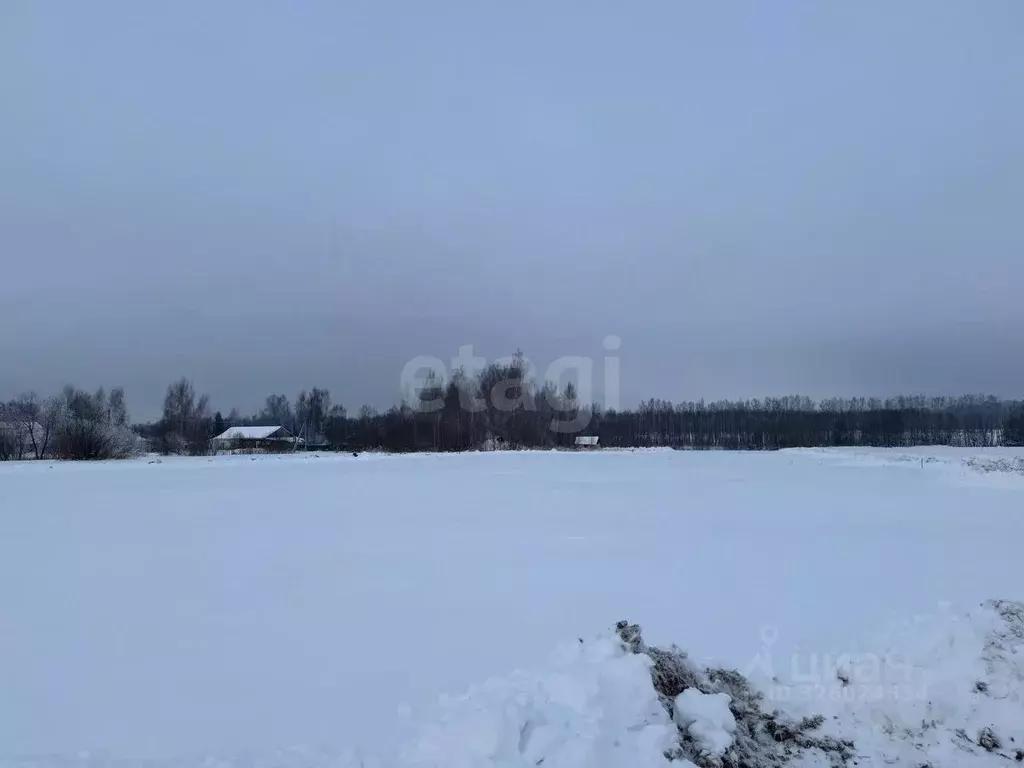 Участок в Костромская область, Красносельский район, Шолоховское ... - Фото 1