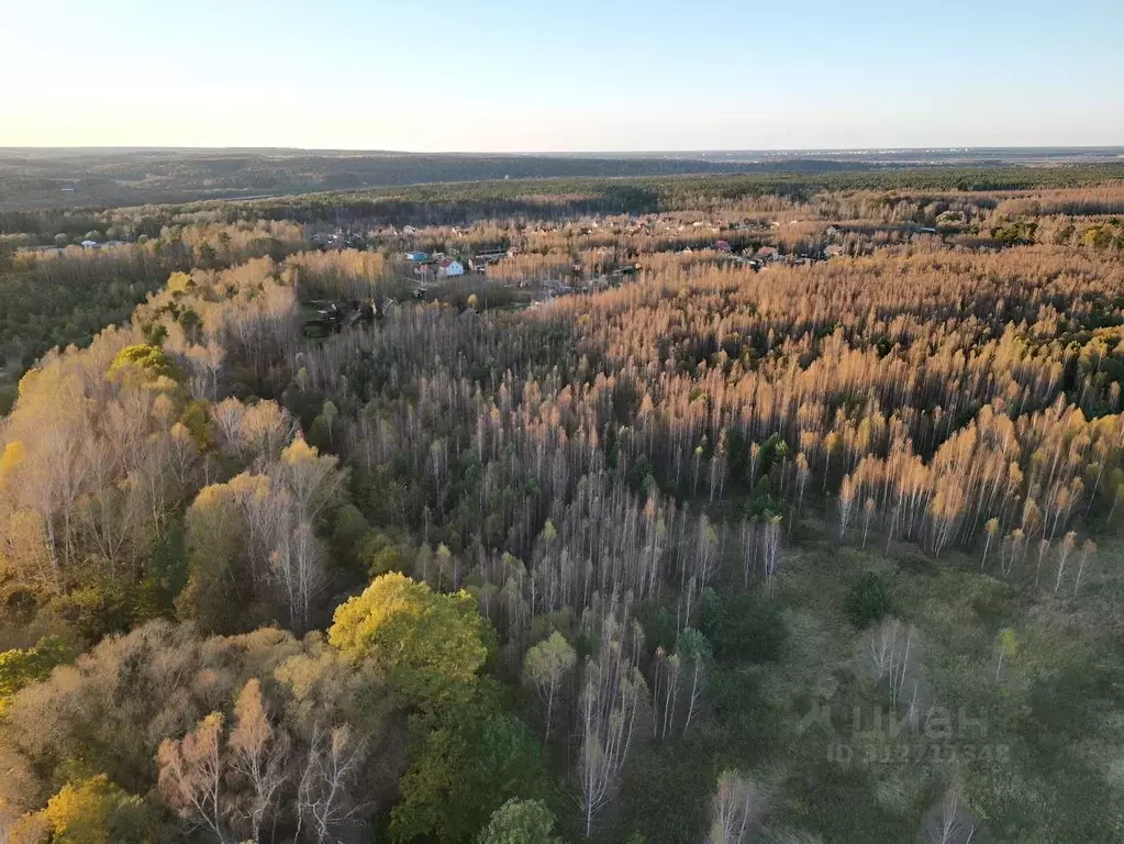 Участок в Московская область, Ступино городской округ, с. Разиньково ... - Фото 1