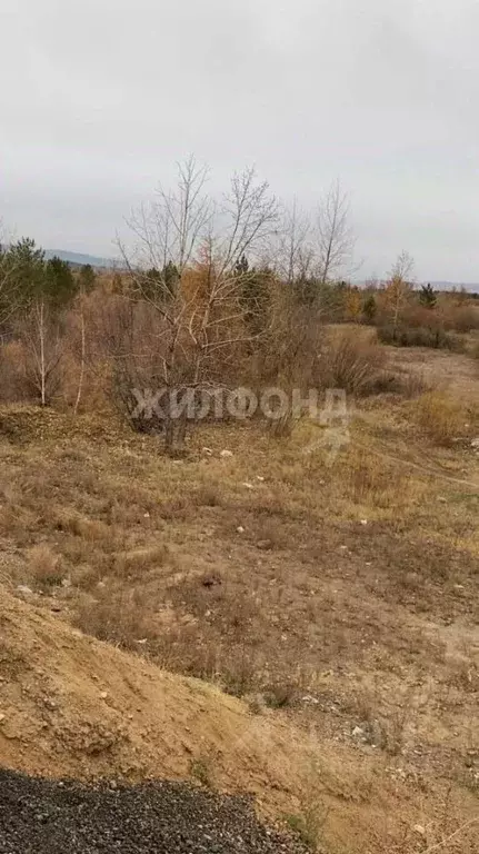 Участок в Забайкальский край, Читинский район, пос. Лесной Городок  ... - Фото 1