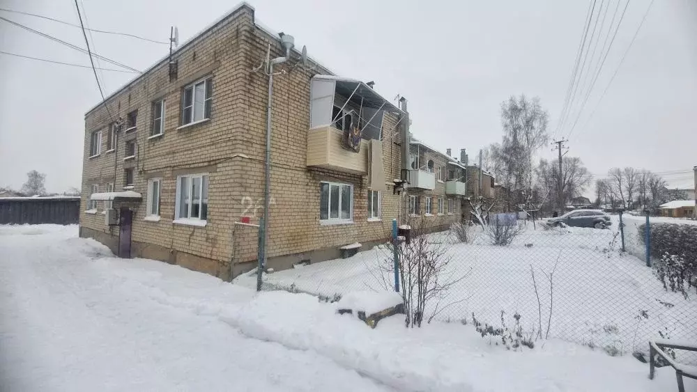 2-к кв. Костромская область, Красное-на-Волге пгт ул. Новая, 26А (51.5 ... - Фото 1