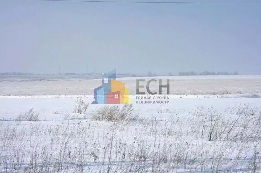 Участок в Тульская область, Алексинский район, д. Большие Пруды  ... - Фото 1