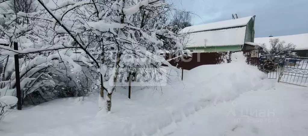 Участок в Ленинградская область, Тосненское городское поселение, с. ... - Фото 2