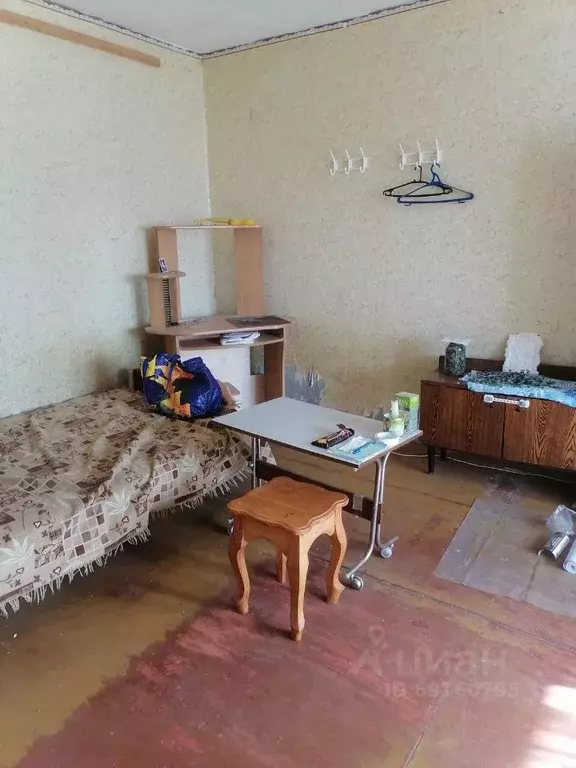 1-к кв. Нижегородская область, Бор ул. Махалова, 30 (30.0 м) - Фото 0