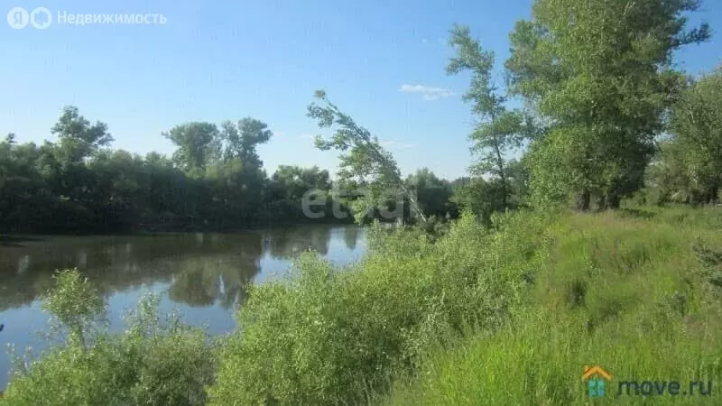 Участок в Красносулинский район, станица Владимировская (14 м) - Фото 1