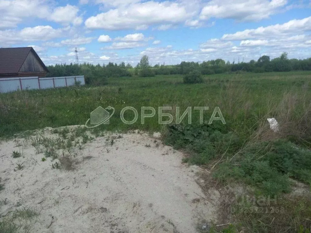Участок в Тюменская область, Тюмень Царево садовое товарищество, ул. ... - Фото 2