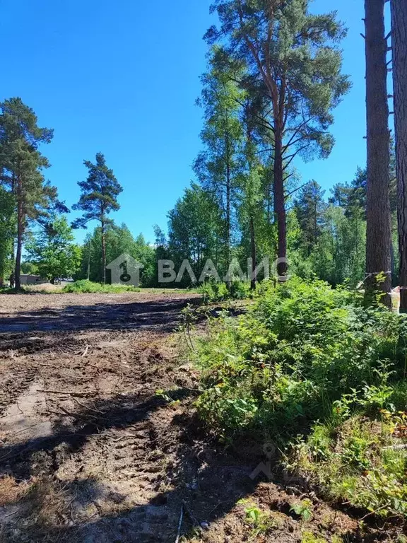 Участок в Ленинградская область, Выборгский район, Полянское с/пос, ... - Фото 1