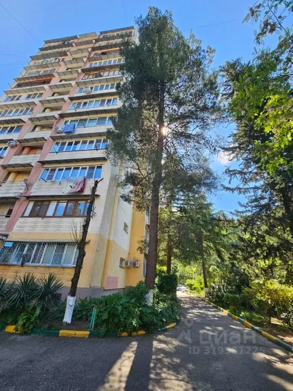 3-к кв. Краснодарский край, Сочи Пластунская ул., 181А (70.3 м) - Фото 0