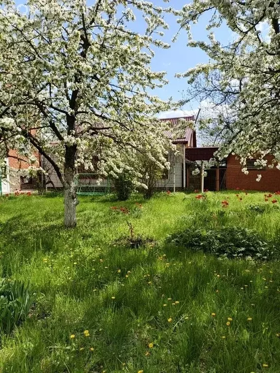 Дом в Ростовская область, станица Егорлыкская (224 м) - Фото 2