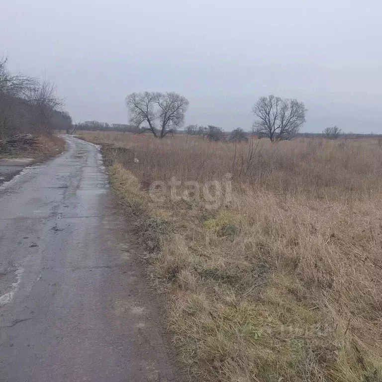 Участок в Курская область, Курский район, Рышковский сельсовет, ... - Фото 1
