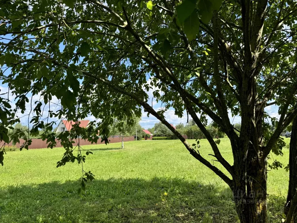 Участок в Московская область, Дмитровский муниципальный округ, д. ... - Фото 0