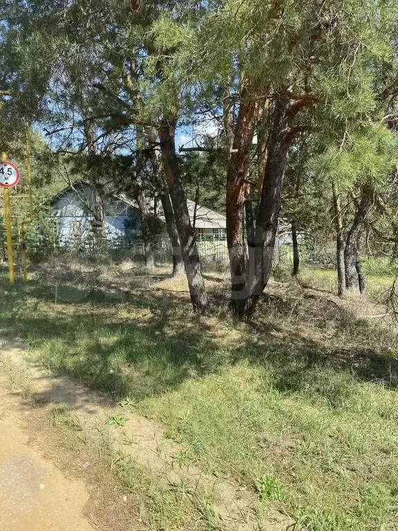 Участок 55 сот. (личное подсобное хозяйство (лпх)) - Фото 0