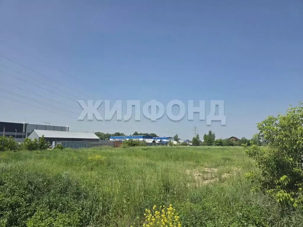 Участок в Новосибирская область, Новосибирский район, Кудряшовский дп  ... - Фото 0