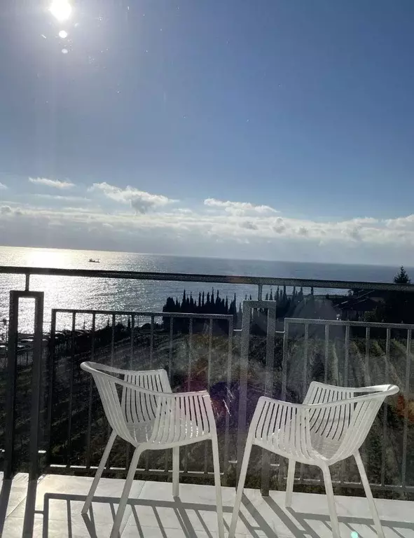 Студия Крым, Ялта муниципальный округ, Ливадия пгт ул. Виноградная, ... - Фото 1