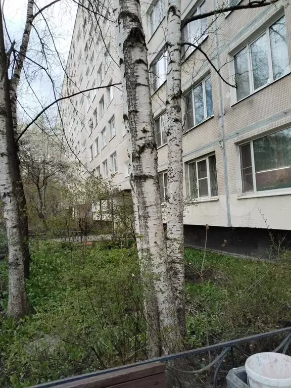 1-к. квартира, 31 м, 7/9 эт. - Фото 1