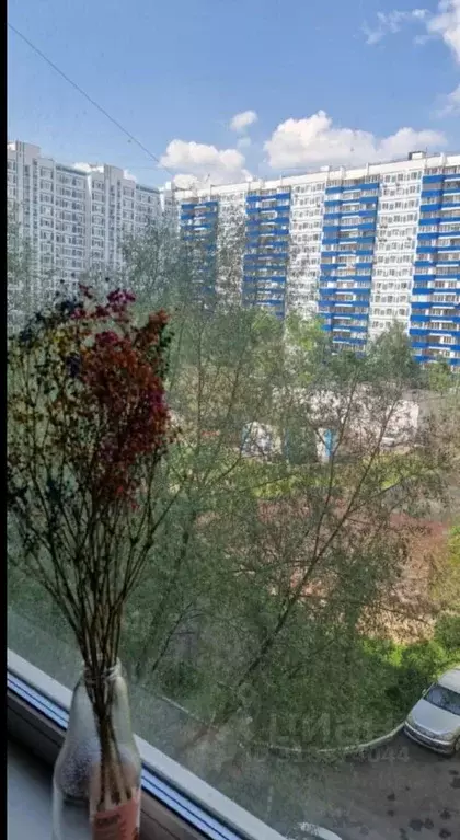 Комната Москва ул. Бусиновская Горка, 11К2 (13.6 м) - Фото 1