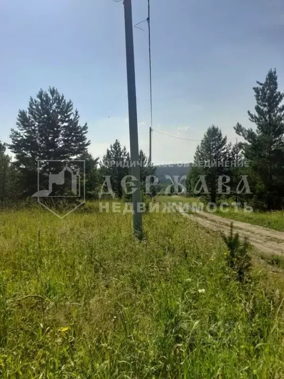 Участок в Кемеровская область, Кемеровский район, с. Силино Нагорная ... - Фото 1