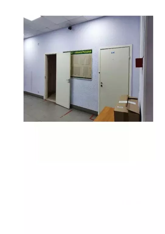 Помещение свободного назначения в Башкортостан, Уфа ул. Менделеева, ... - Фото 1