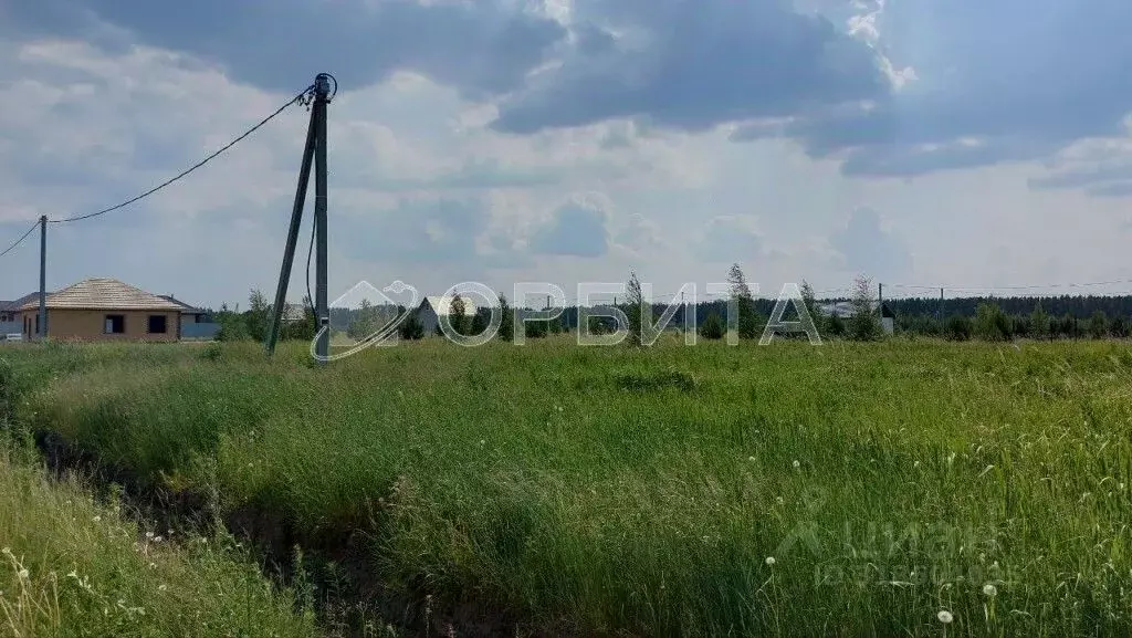 Участок в Тюменская область, Тюменский район, с. Борки  (14.49 сот.) - Фото 2