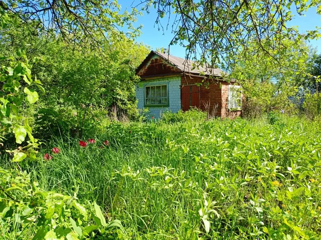 Дом в Орловская область, Орловский район, д. Ивановское, Сталь СНТ  ... - Фото 1